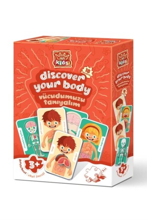 Art Kids Let's Know Our Body - Art Puzzle