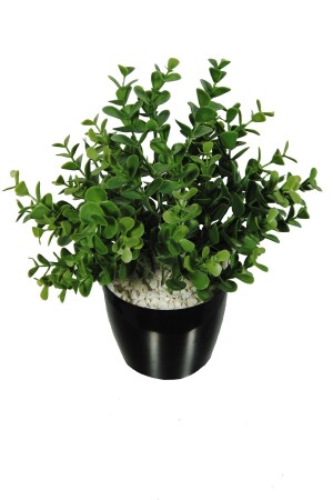 Artificial Flower Boxwood Eucalyptus Artificial Plant Black Plastic Potted Decorative Ornamental Flower - Lilac Home