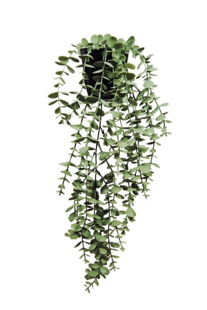 Artificial Flower Moblen Mica Diamond Pastel Green Eucalyptus Pendant in Black Pot - Lilac Home