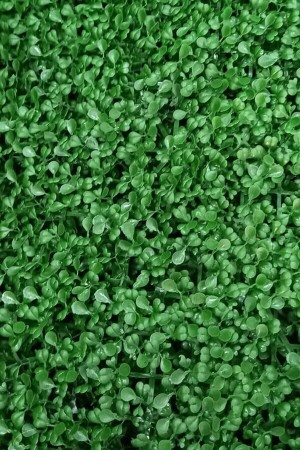 Artificial Wall Covering Panel Plant Boxwood Sheet 40x60 Cm Green Vertical Garden DD-40-60cm boxwood - DDTREND