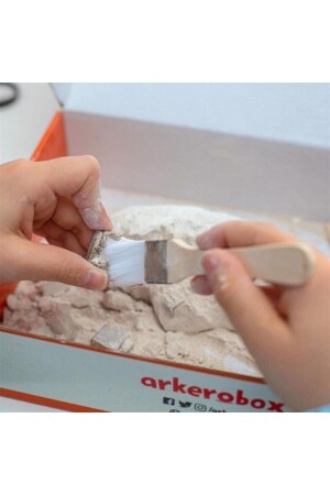 Aspendos pädagogisches Ausgrabungsset MP42823 - Arkerobox