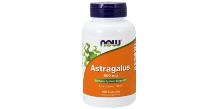 Astragalus - POWERBODY