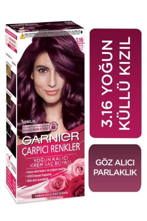 Atemberaubende Farben 3. 16 Intensives Aschrot - Garnier