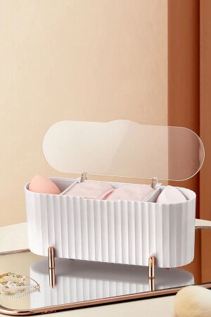 Aura Makeup Cosmetics Lipstick And Cotton Organizer Organizer - Pufwin Home