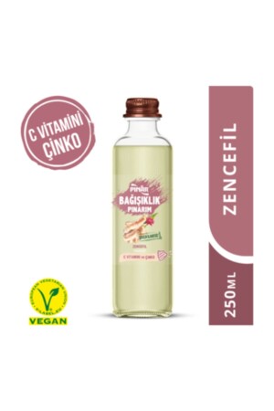 Bağışıklık Pınarım Zencefil Aromalı İçecek 250 Ml ( 2 ADET ) - Pınar