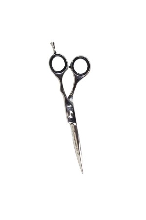 Barber Scissors 6 - Trina