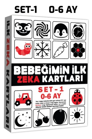 Die ersten Intelligenzkarten meines Babys, Set 1 / 0–6 Monate - Diytoy