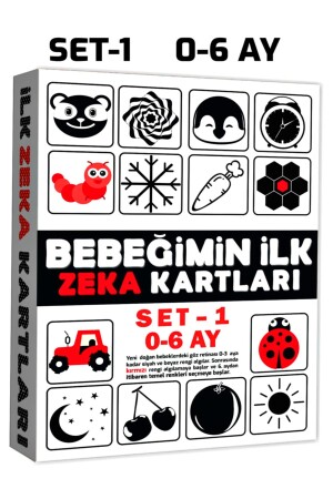 Die ersten Intelligenzkarten meines Babys, Set 1 / 0–6 Monate - Avda