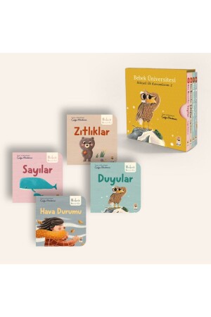 Bebek University 2- My First Concepts Set with Story - Sincap Kitap