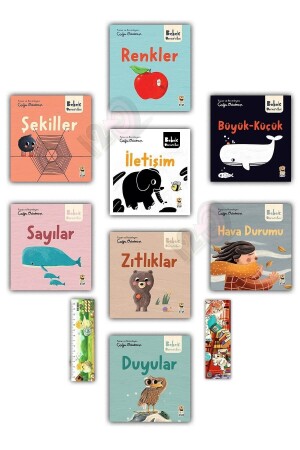 Bebek University - My First Concepts with a Story 1-2 - Sincap Kitap