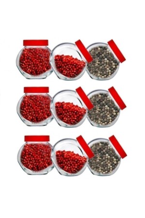 Bella Mini Baharatlık Takım 9' Lu Takım 80386 048oa PB80386-3 - Paşabahçe