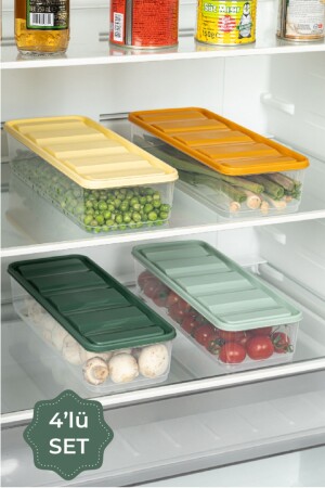 Bella Refrigerator Organizer with 4 Colorful Covers 1-65 Liters - Vienev