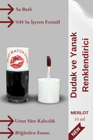 Beste Tönung aller Zeiten Burgunderroter Lippen- und Wangenfarbstoff – Flüssiger Lippenstift Liquid Blush – Rouge – Lippen- und Wangentönung - Best Match Ever