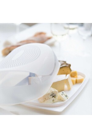 Big Cheese World (KÄSE-VORBEHANDLUNGSBEHÄLTER) C0A1PK0038 - Tupperware