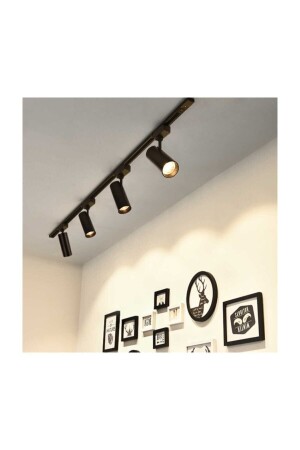 Black Case and Daylight 4 Pieces 360 Degree Rotating LED Rail Spot Lamp 1 Meter Rail Luminaire my hand - Ledim