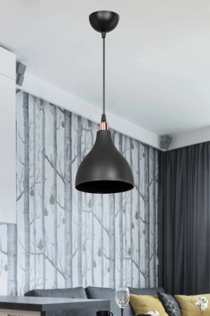 Black Pendant Chandelier Bedroom Living Room Kitchen Corridor Lamp chandelier1 - AG LightDesign