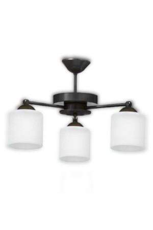 Black Rustic Model Chandelier LMBDR35881 - Lambadar