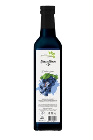 Blaubeerextrakt 700 Gr. - Karadut Dünyası