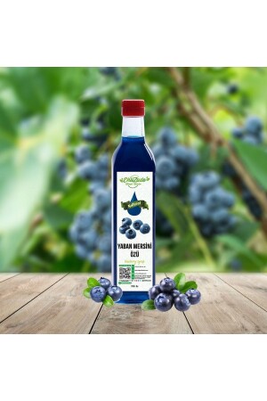 Blaubeerextrakt 700 gr EH2107 - Ehlizade