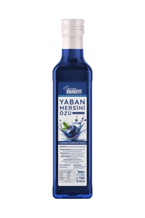 Blueberries 700 g - Havran Kocaseyit