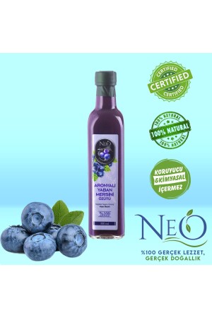 Blueberry Extract with Aronia 500ml - Neo Yaşam