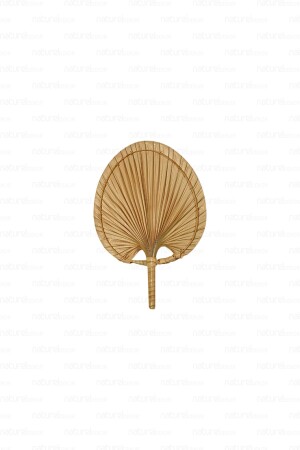 Bohemian Palm Leaf- Japanese Fan 19x28 Cm- Wall Decoration- Wall Ornament- Scandinavian- Modern- - Naturel Home