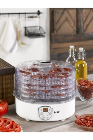 Br640 Digital Fruit Vegetable Dryer Food Dryer BR640 - BRİZ