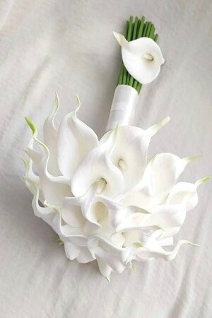 Bridal Bouquet Off-White Wet Gala Boutonniere 0001 - fesleğen çiçek