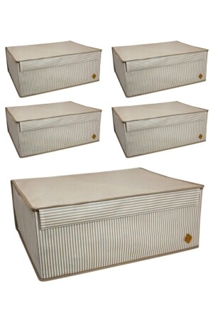 Brown 5 Pieces - Multi-Purpose Laundry-Storage-Organization Etc Storage-Box Base with Cover 50x40x19 - Alas