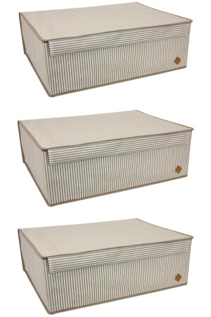 Brown Sosoft (3 Pieces) Multi-Purpose Box Under Plinth 50x40x19cm - Alas
