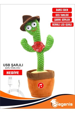 Cactus Toy Dancing Talking Sound Imitating Foreign Music Lighted - Egenis