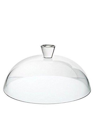 Cake Pastry Jar Cover Diameter 30.5 Cm ss0222145588777 - PAŞABAHÇE CAM