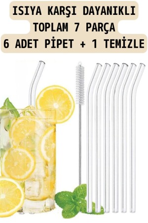 Cambu 6-teilige Glasstrohhalme aus Thermosilikat (hitzebeständig) und 1 Pipettenreinigungsbürste 1. Qualität - Comprox