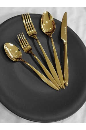 Carmen 60-teiliges Tee-Gabel-Löffel-Messer-Set für 12 Personen ohne Löffel CMDCSGGTGS33 - BRONDOFF