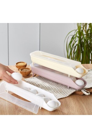 Carpe Organizer Egg Holder Box 2 Boxes Easy Practical Organizer - Dempa