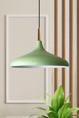 Champion Mint Green Wooden Single Chandelier Pendant Lamp Living Room Kitchen Cafe Boutique Lamp Lighting BMM2066A - Bamyum