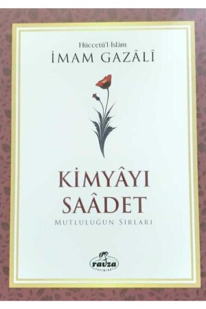 Chemistry Saadet - Ravza Yayınları