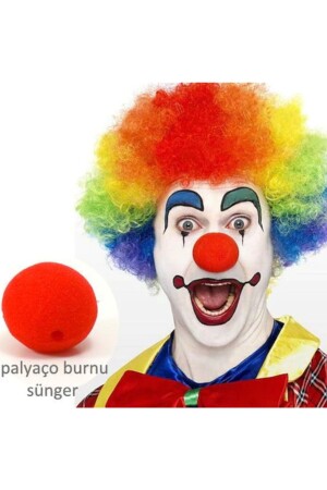 Clown Kid Mixed Color Bonus Wig And Nose Set - Big Party