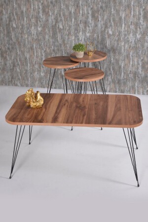 Coffee Table And Nesting Table Walnut Set Wire Leg Kr FMA100001 - GOLDFALEZ