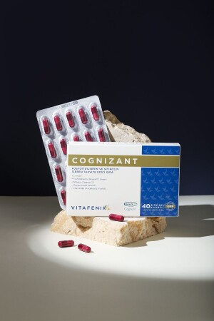 Cognizant Food Supplement Containing Phosphatidylserine and Citicoline Vegan 40 Capsules - Vitafenix