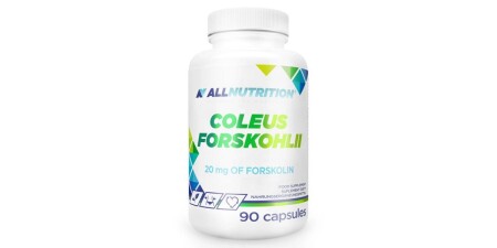 Coleus Forskohlii - POWERBODY