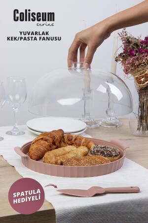 Coliseum Powder Round Cake - Cake Dome - Okyanus Home