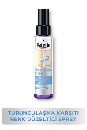Color Corrector Spray 100 ml - Palette