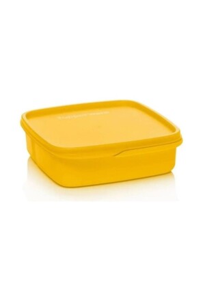 Compartmented Lunch Box 550 Ml Yellow Breakfast Plate Hsgl 2282 - Tupperware