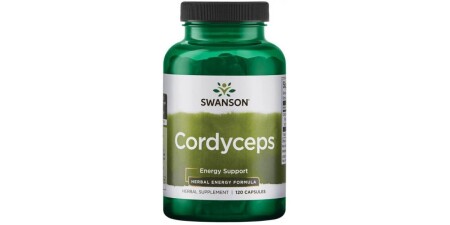 Cordyceps - POWERBODY