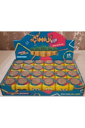Cube Grass Man Box of 24 006 - Çimoji
