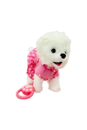 Cute Dog with Box, Remote Control, Battery, Collar, Singing, Voice and Music WF1811 - Can Oyuncak