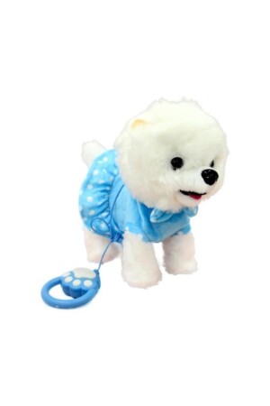 Cute Dog with Box, Remote Control, Battery, Collar, Singing, Voice and Music WF1811 - Can Oyuncak