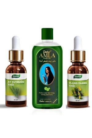 Dabur Amla Hair Care Oil + Horsetail Oil Pure + Ylang Oil Pure Fast Extension Set - Biopor