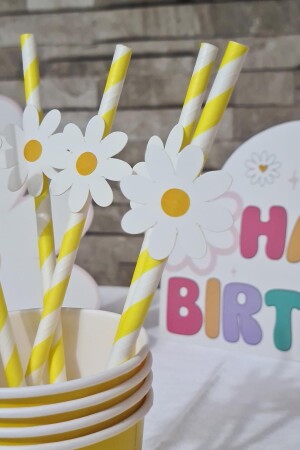 Daisy Concept Straw Ornaments 10 Luxury Straw Pack - Pekshop